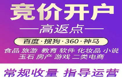 百度竞价推广运营实战技巧与经典案例剖析